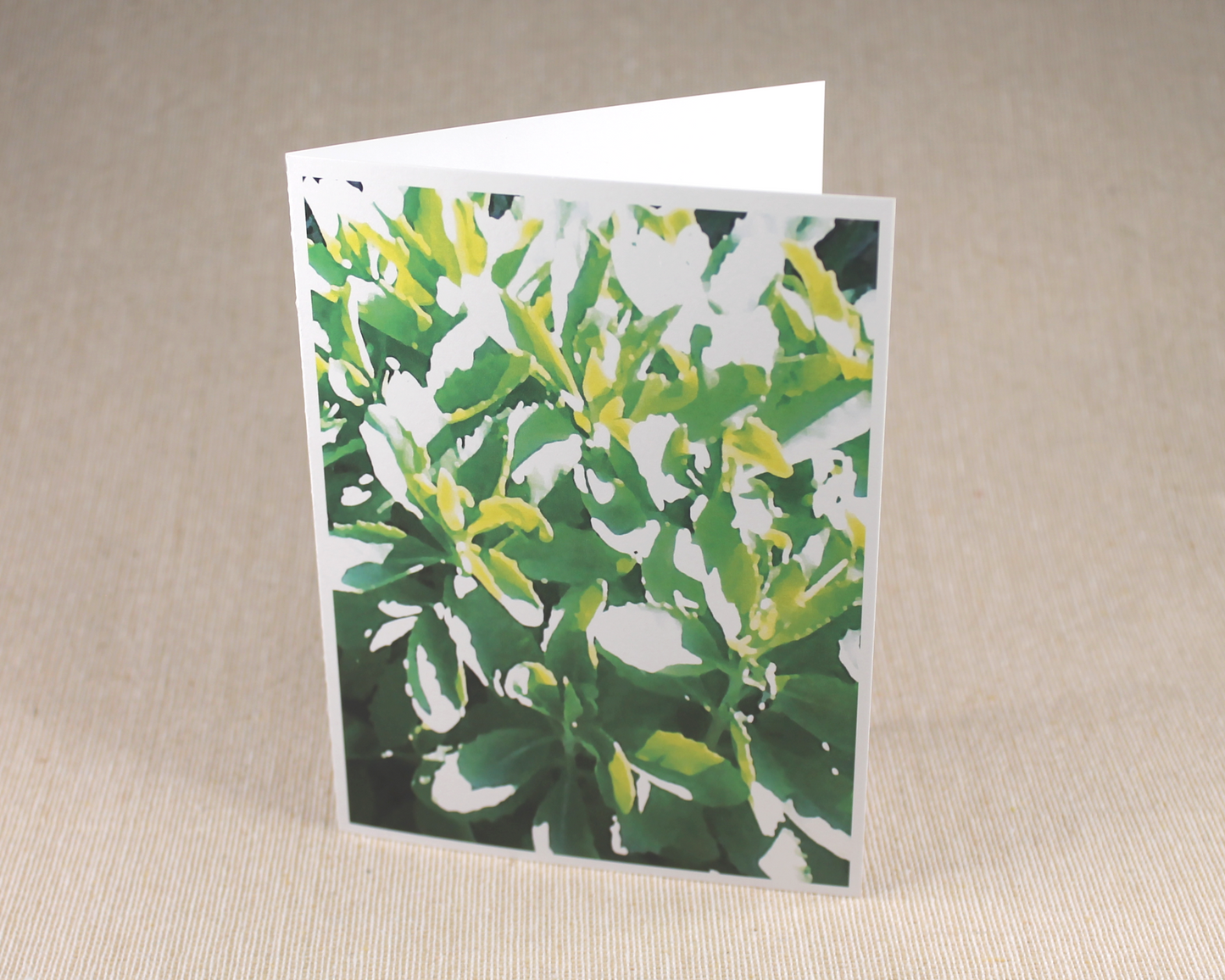 Sunny Leaves - All Occasion Cards - 3 card pack