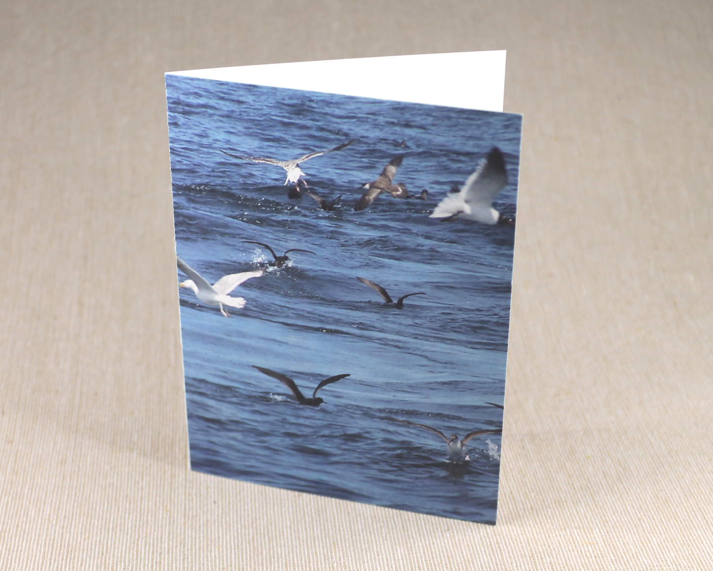 Birds Over The Ocean - All Occasion Cards - 3 card pack