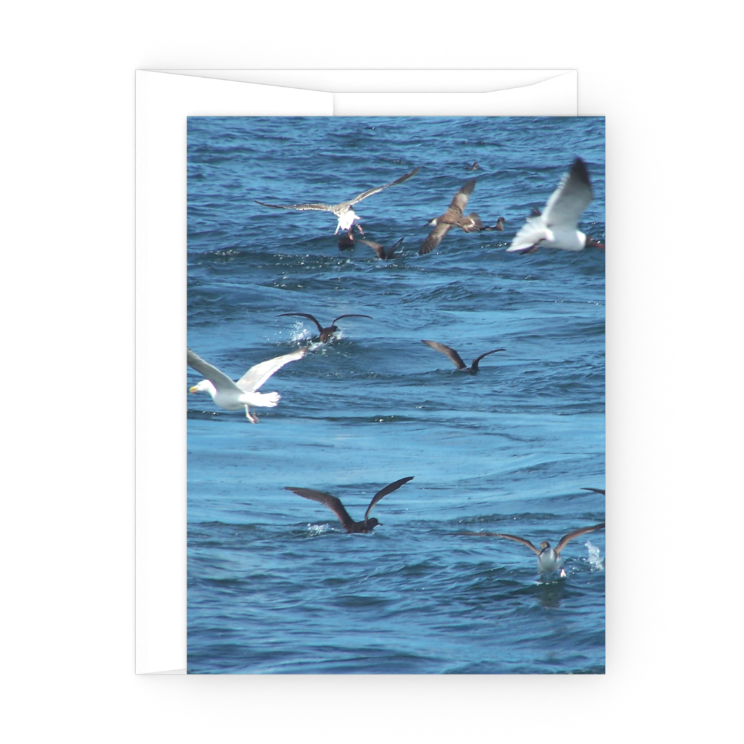 Birds Over The Ocean - All Occasion Cards - 3 card pack