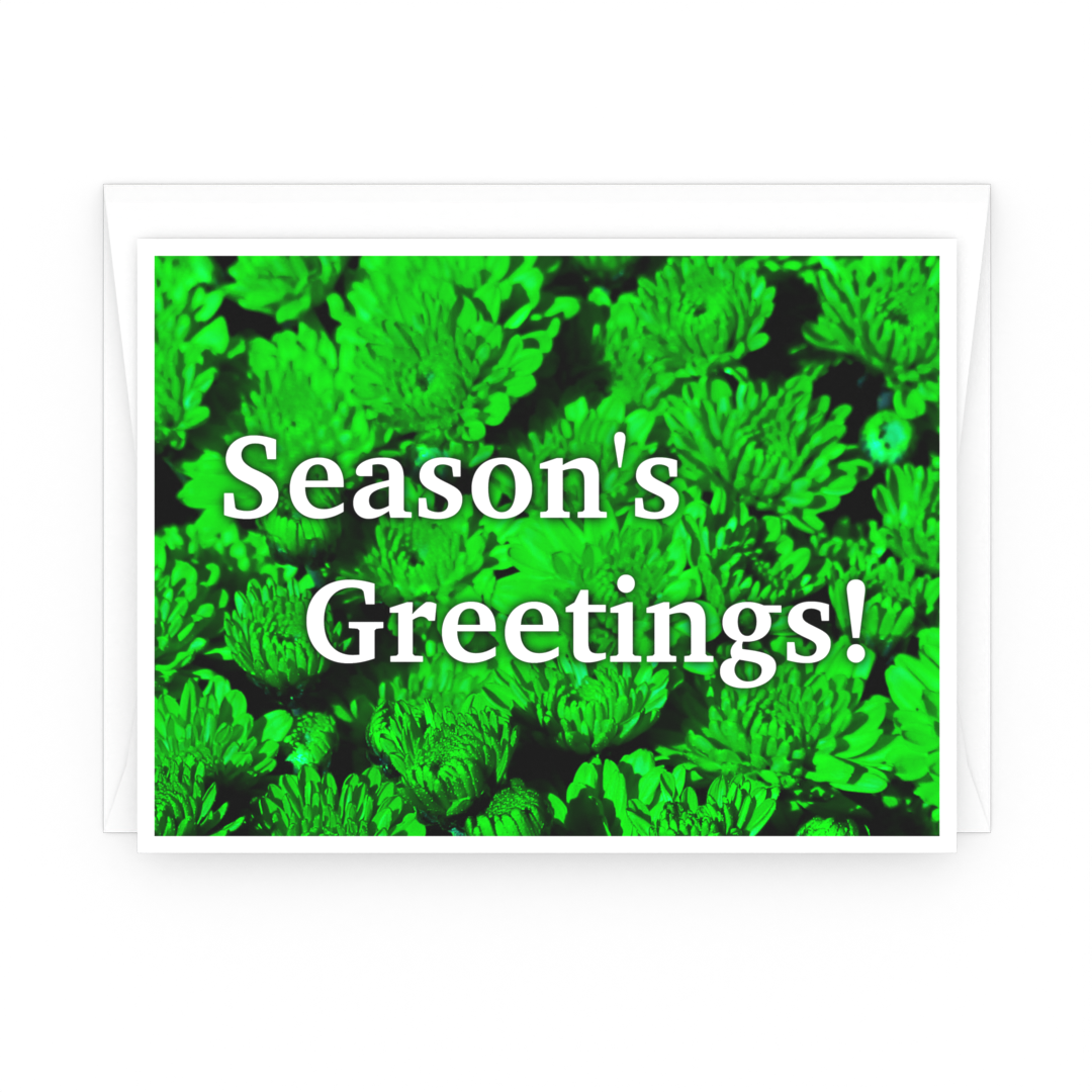 Season's Greetings: Red & Green Holiday Greeting Cards - 10 Card Pack