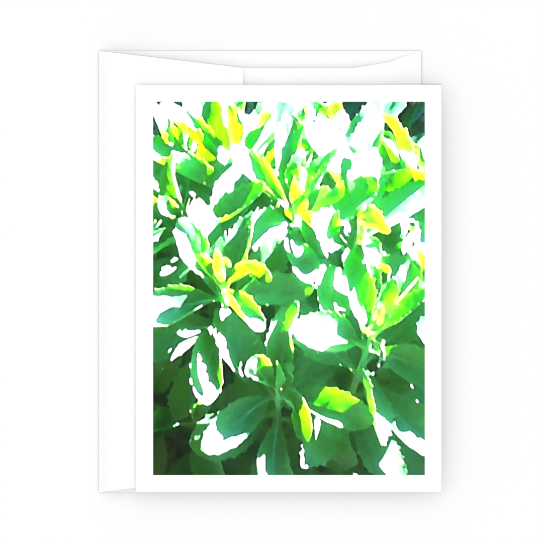 Sunny Leaves - All Occasion Cards - 3 card pack