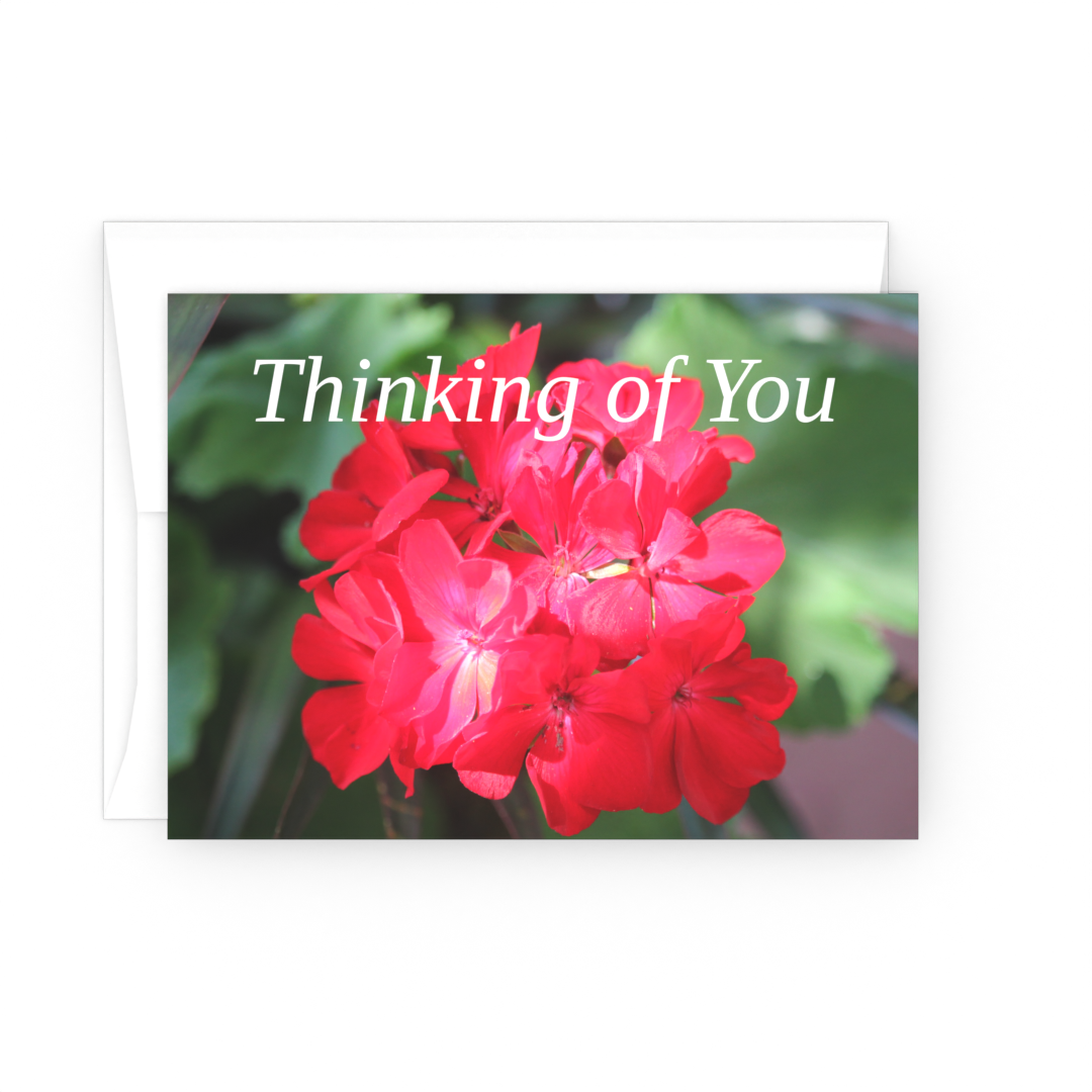Red Geraniums - Note Cards - 10 card pack