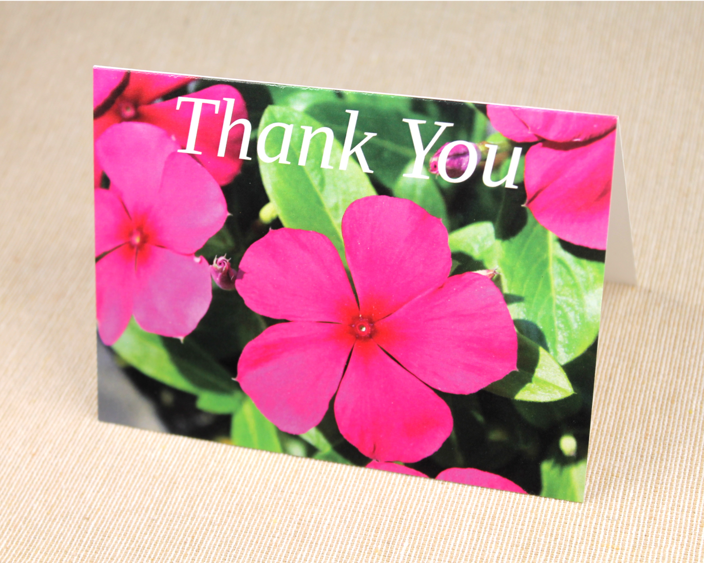 Pansy - Thank You Cards - 10 card pack