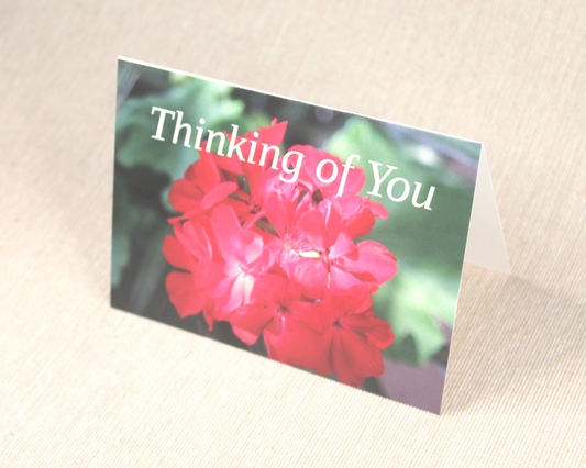 Red Geraniums - Note Cards - 10 card pack