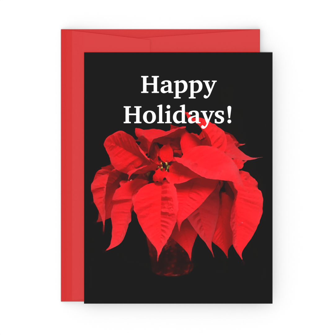 Happy Holidays - Holiday Greeting Card - 10 Card Pack