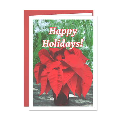Happy Holidays - Holiday Greeting Card - 12 Card Pack
