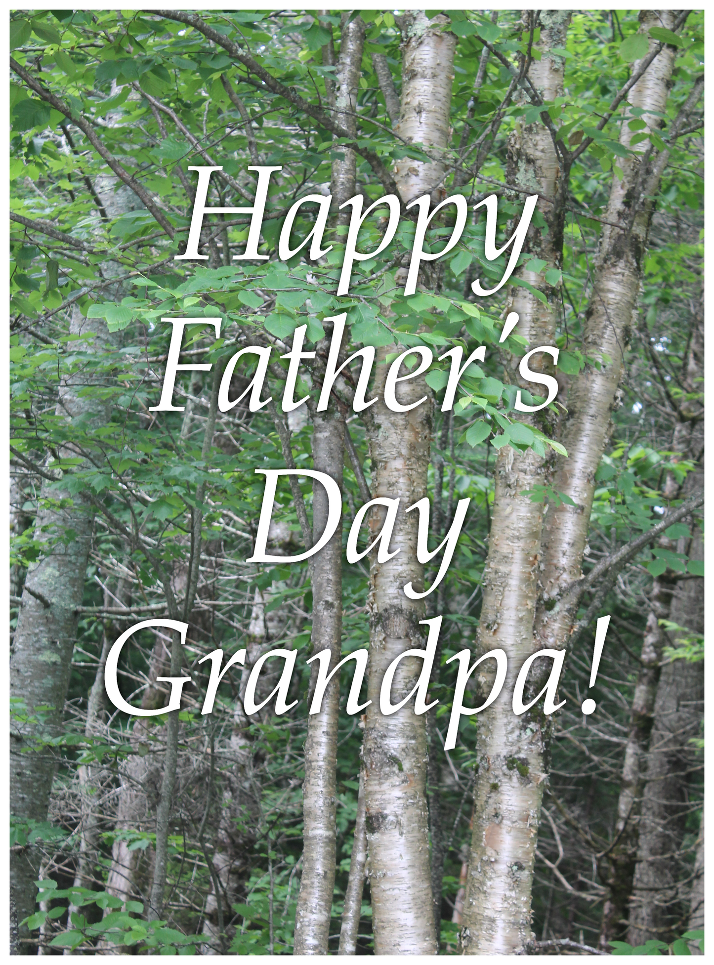 Father’s Day for Grandpa - Father's Day Card