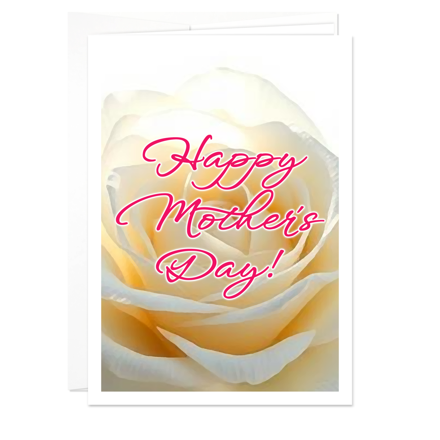 Mother's Day Card - Afternoon White Rose
