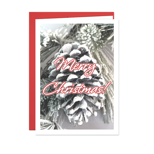 Softly Fallen Snow - Holiday Greeting Cards - 12 Card Pack | for Family Members, Loved Ones, Friends, Someone Special, Acquaintances