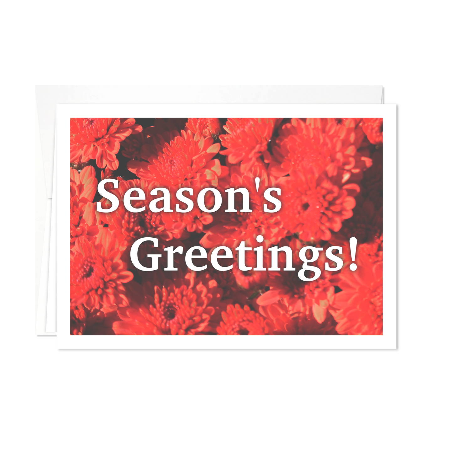 Season's Greetings: Red & Green Holiday Greeting Cards - 12 Card Pack | for Family Members, Loved Ones, Friends, Someone Special, Acquaintances
