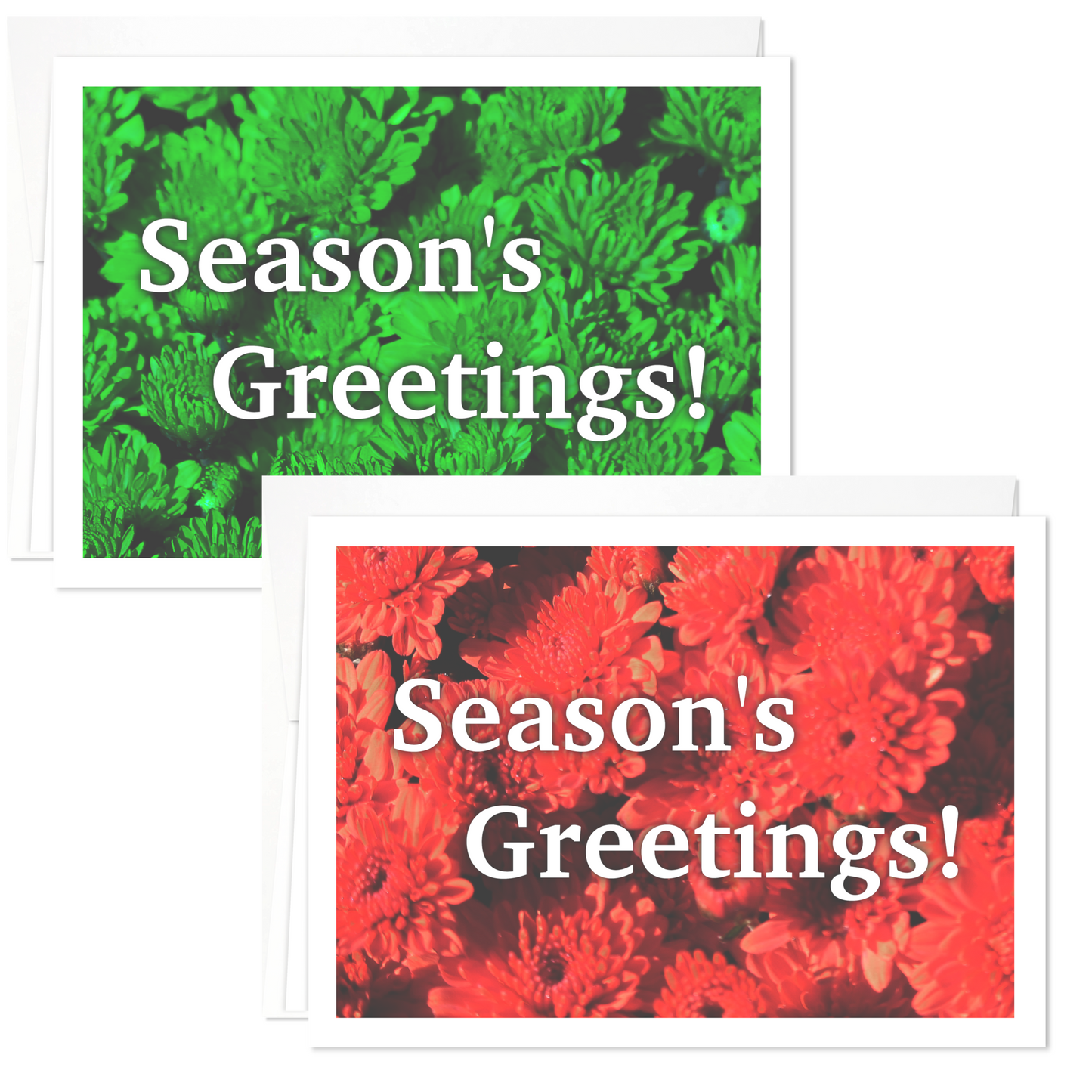 Season's Greetings: Red & Green Holiday Greeting Cards - 12 Card Pack | for Family Members, Loved Ones, Friends, Someone Special, Acquaintances