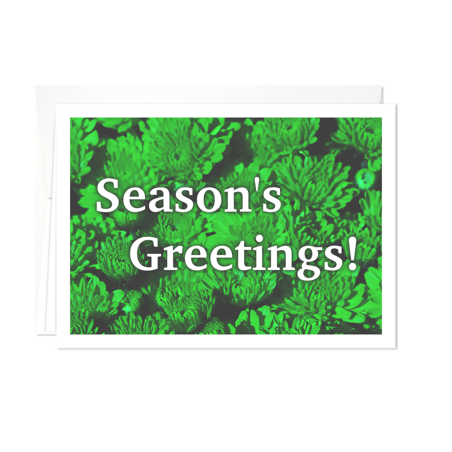 Season's Greetings: Red & Green Holiday Greeting Cards - 12 Card Pack | for Family Members, Loved Ones, Friends, Someone Special, Acquaintances