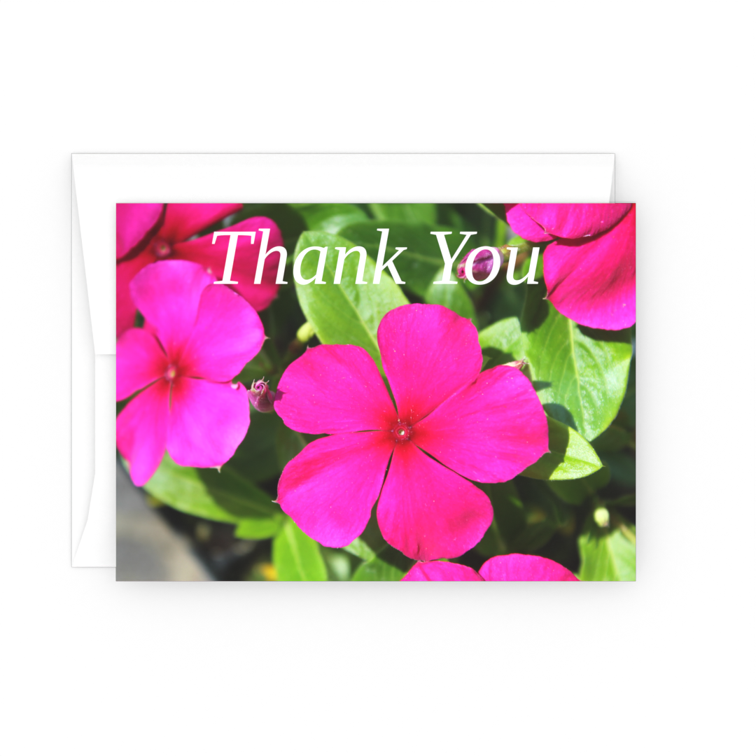 Pansy - Thank You Cards - 10 card pack