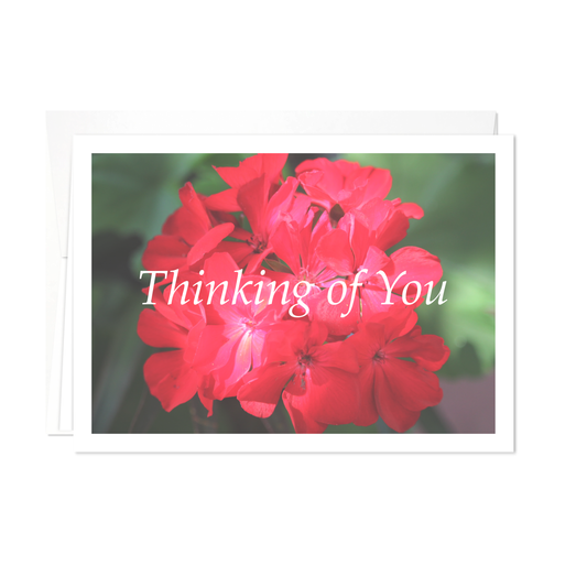 Thinking Of You Card - Just Wanted You To Know